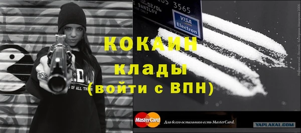 ГАЛЛЮЦИНОГЕННЫЕ ГРИБЫ Арсеньев