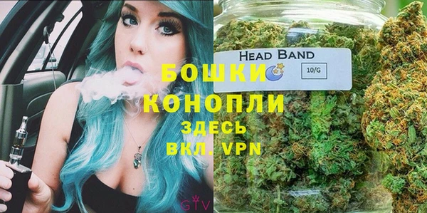 ГАЛЛЮЦИНОГЕННЫЕ ГРИБЫ Арсеньев